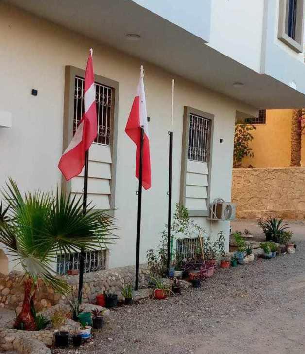 Enigma Modern Flat In Center Hrg - Pool - Terrace