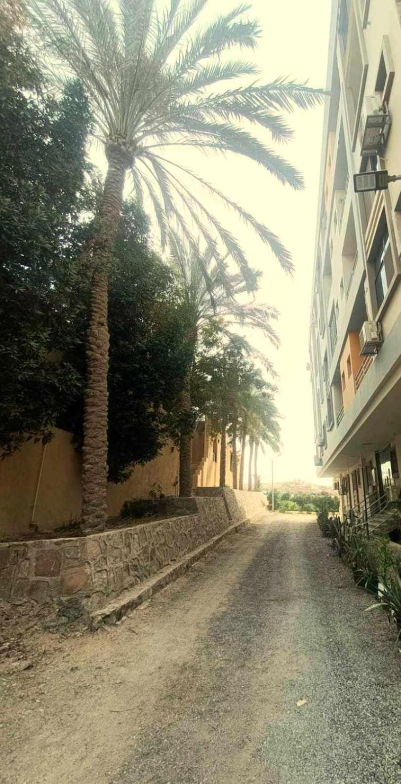 Enigma Modern Flat In Center Hrg - Pool - Terrace